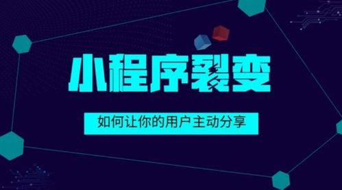 企業(yè)為何要選擇定制化小程序開發(fā)？舒馨網(wǎng)絡(luò)為您解密這背后價值