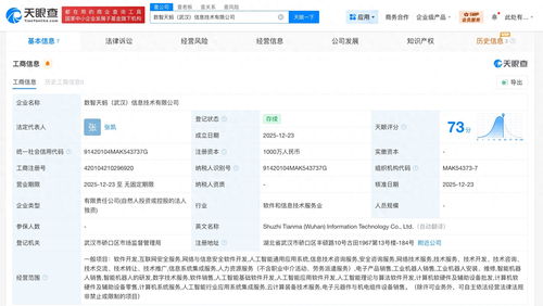 螞蟻數科布局華中，武漢新設信息技術公司聚焦網絡安全軟件開發